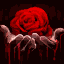 Кровоточащая Роза · Bleeding Rose