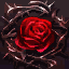 Багровая Роза · Crimson Rose