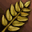 Владение Корнями · Root Mastery